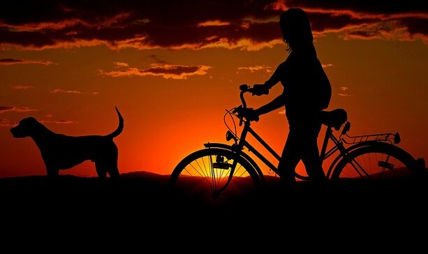 a silhueta de um cachorro e uma mulher de bicicleta no por do sol